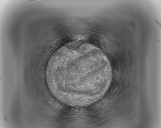X0000095891393200801251152