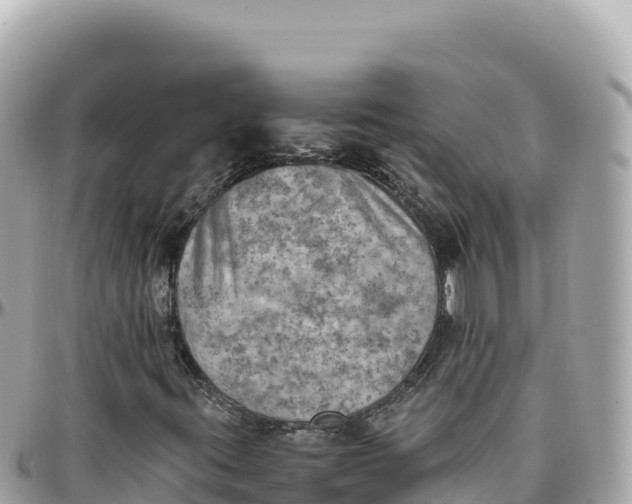 X0000095891395200801251152