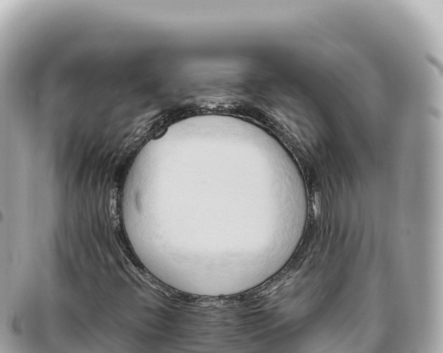 X0000095891396200801251152