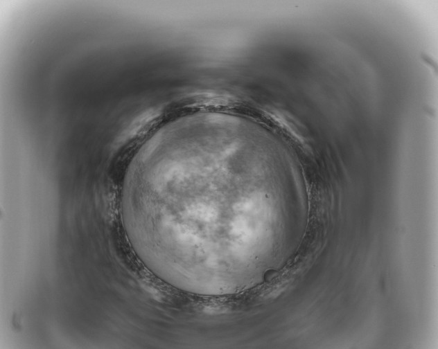 X0000095891399200801251152