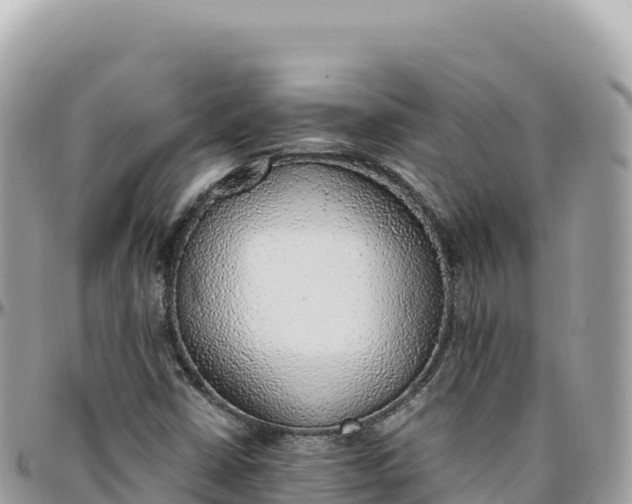 X0000095891402200801251152