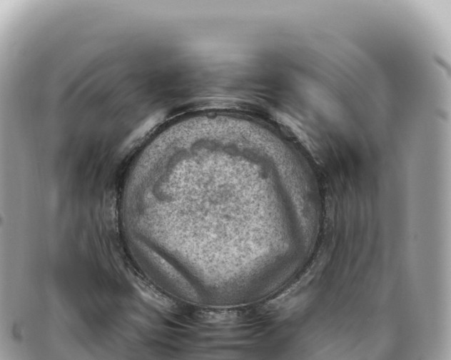 X0000095891403200801251152