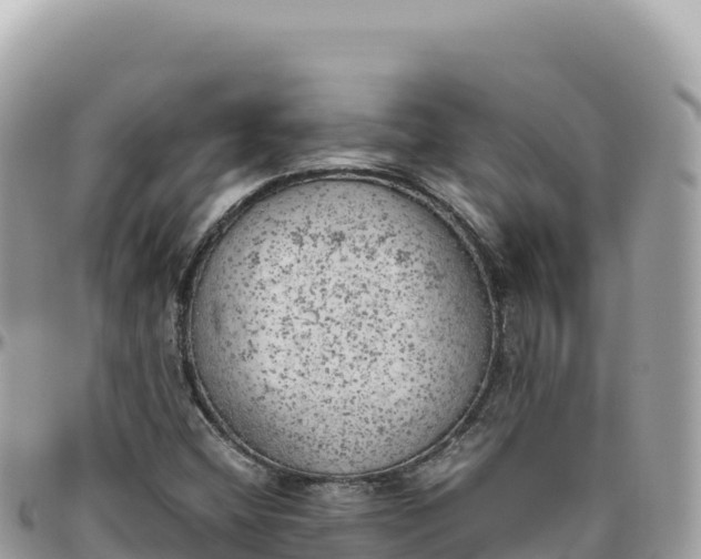 X0000095891404200801251152
