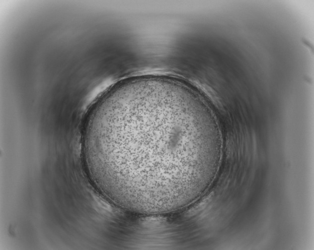 X0000095891406200801251152