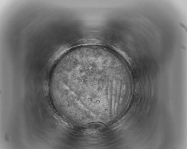 X0000095891407200801251152