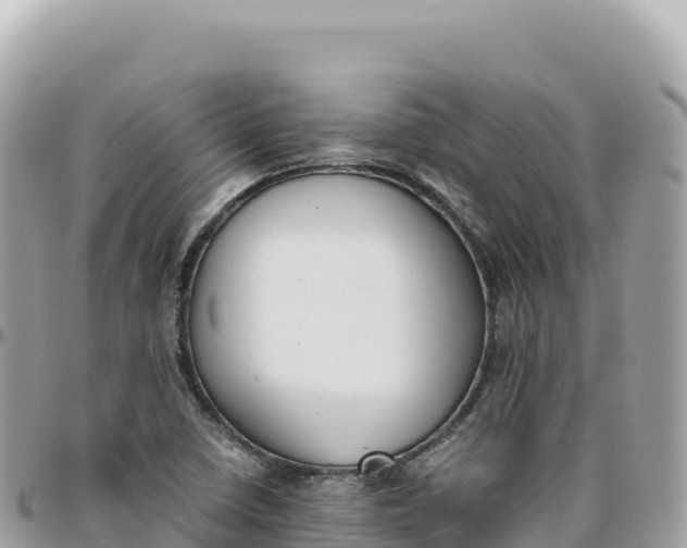 X0000095891410200801251152