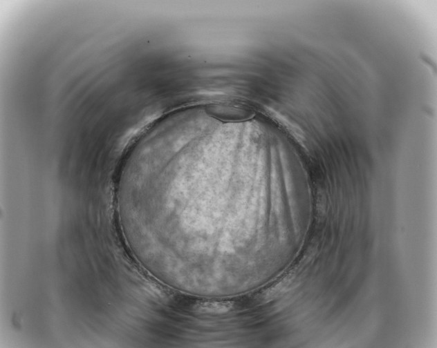X0000095891411200801251152