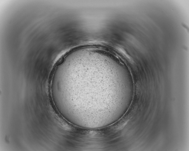 X0000095891412200801251152