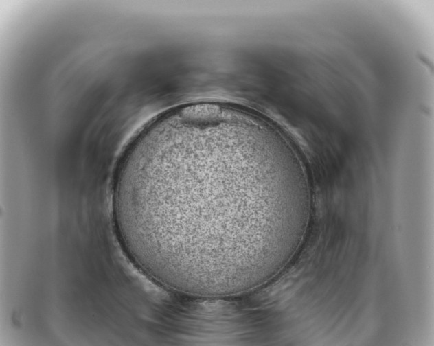 X0000095891416200801251152