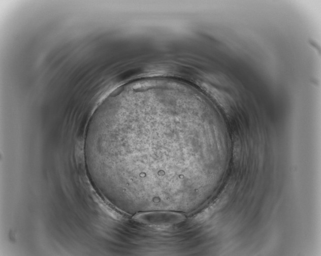 X0000095891417200801251152