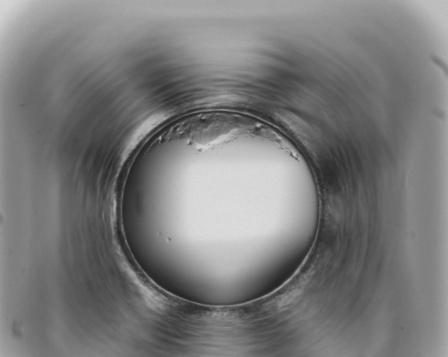 X0000095891418200801251152