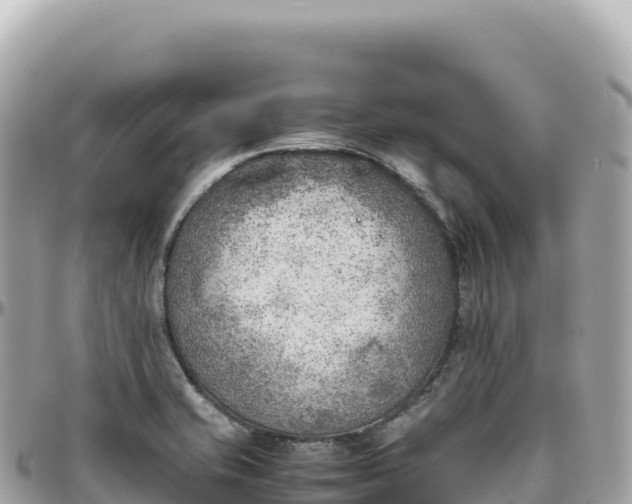 X0000095891421200801251152