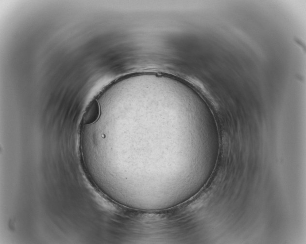 X0000095891424200801251152