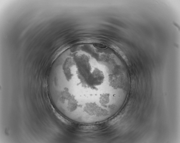 X0000095891425200801251152