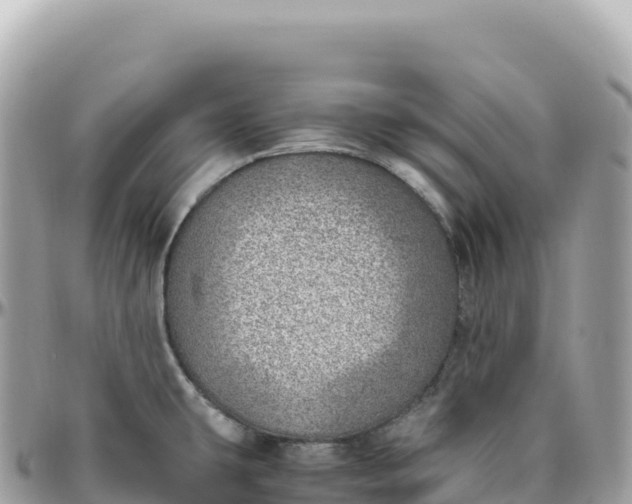 X0000095891431200801251152