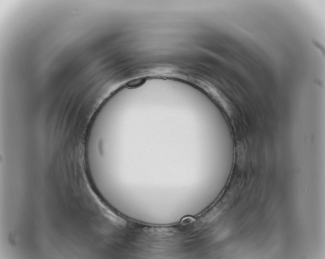 X0000095891432200801251152