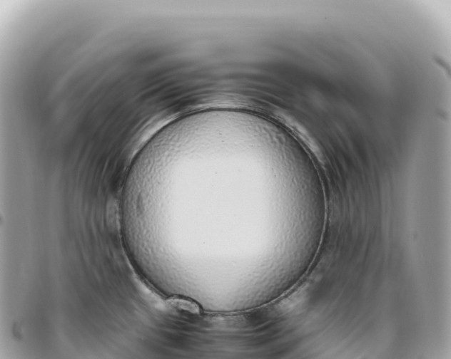 X0000095891433200801251153