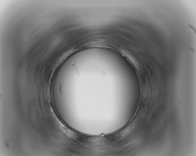 X0000095891434200801251153