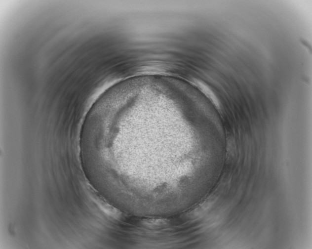 X0000095891435200801251153