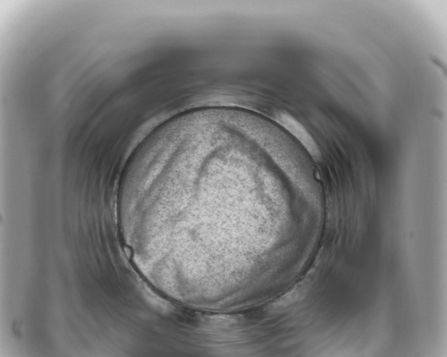 X0000095891436200801251153
