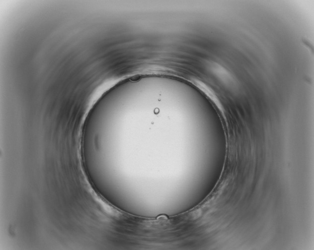 X0000095891437200801251153