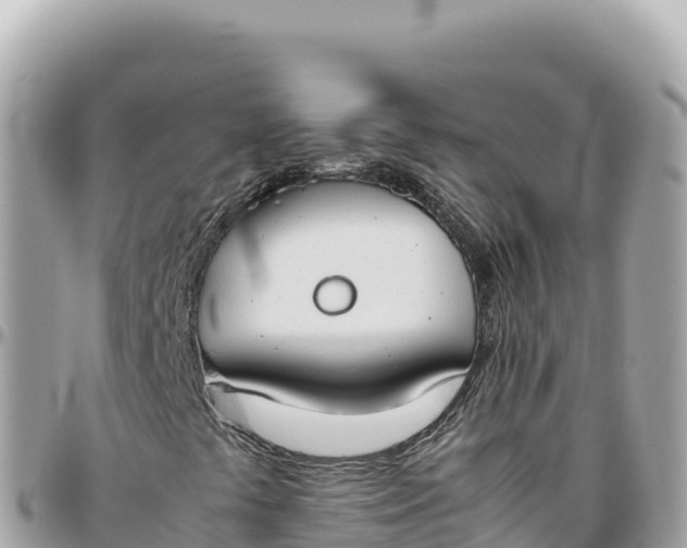 X0000095891441200801251152