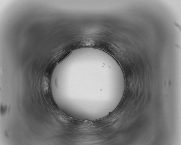 X0000095891442200801251152