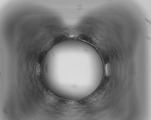 X0000095891443200801251152