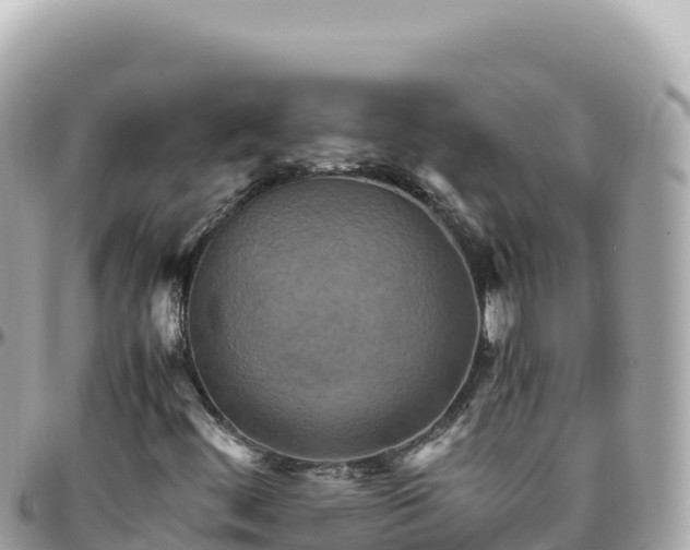 X0000095891444200801251152