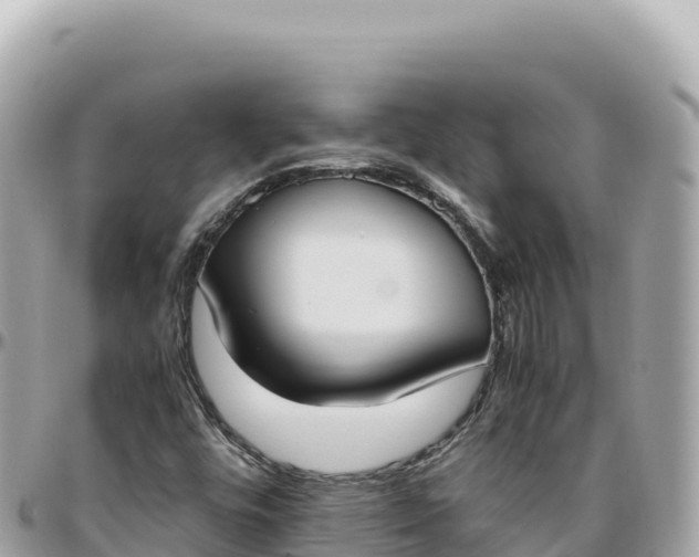 X0000095891448200801251152