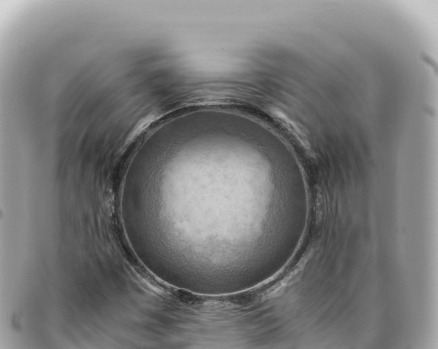 X0000095891449200801251152