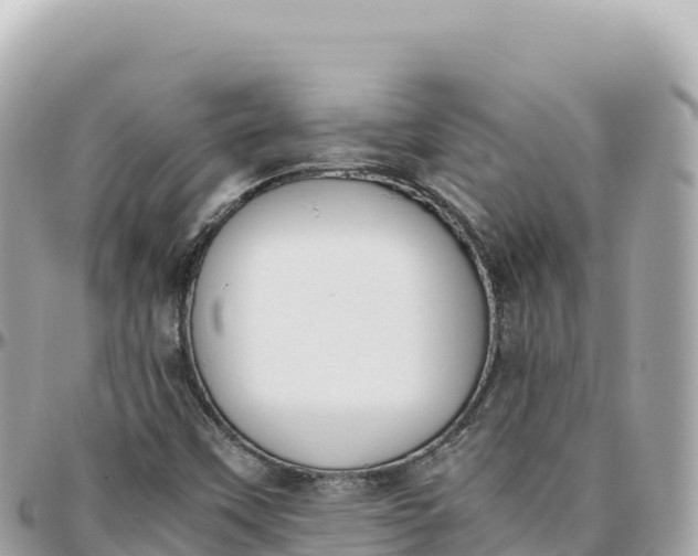 X0000095891451200801251152