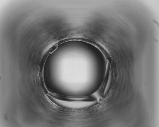 X0000095891452200801251152