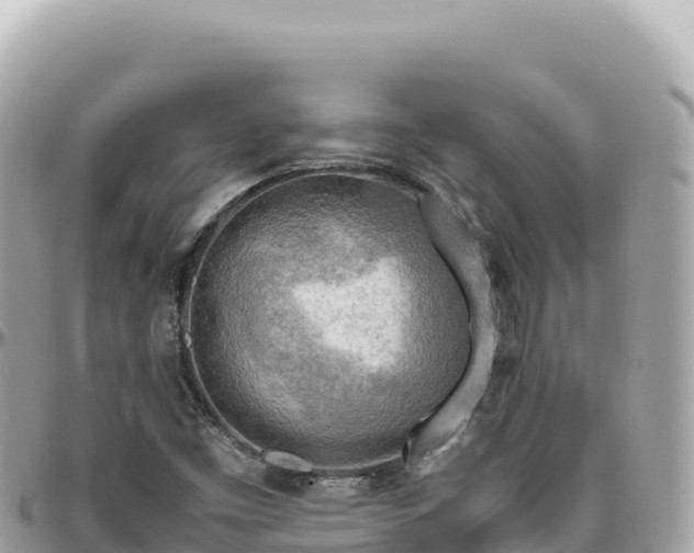 X0000095891453200801251152