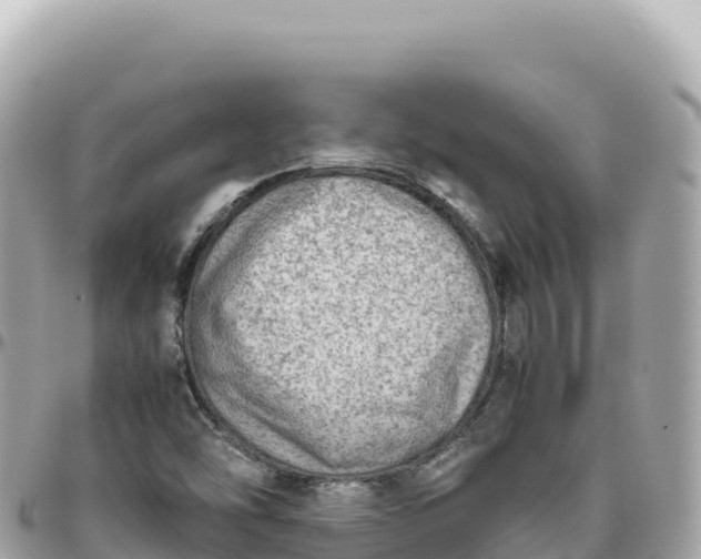 X0000095891454200801251152