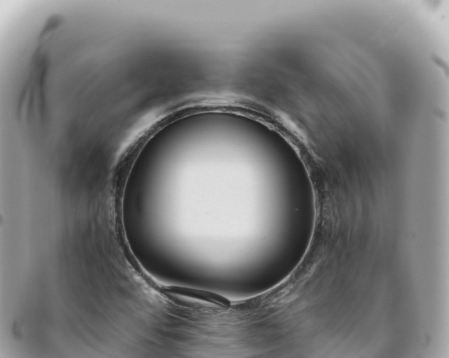X0000095891456200801251152