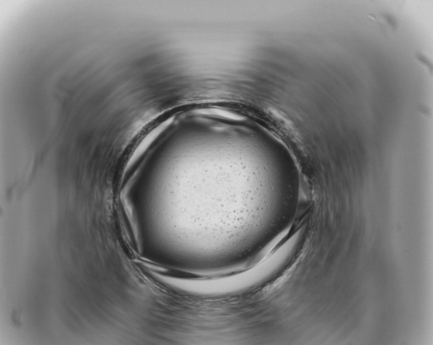 X0000095891457200801251152