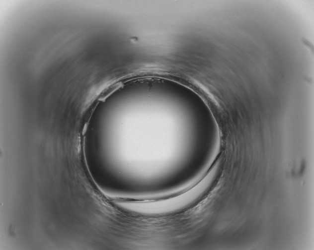 X0000095891461200801251152