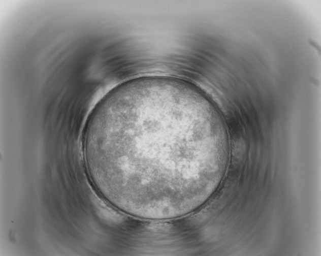 X0000095891466200801251152