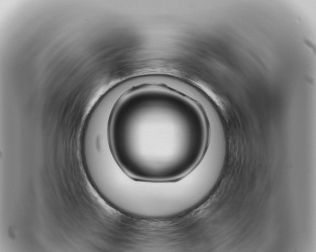 X0000095891468200801251152