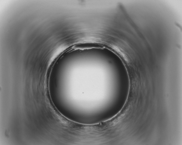 X0000095891469200801251152