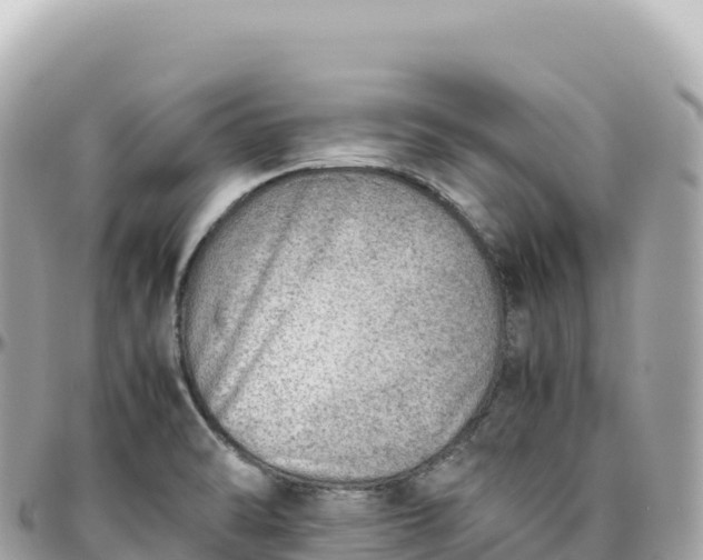 X0000095891470200801251152
