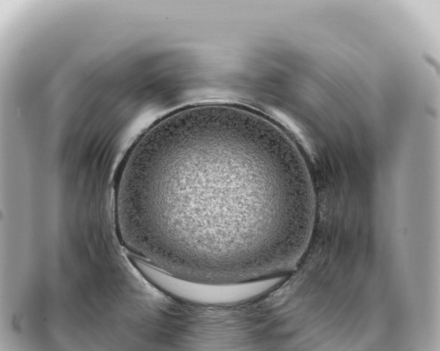 X0000095891472200801251152