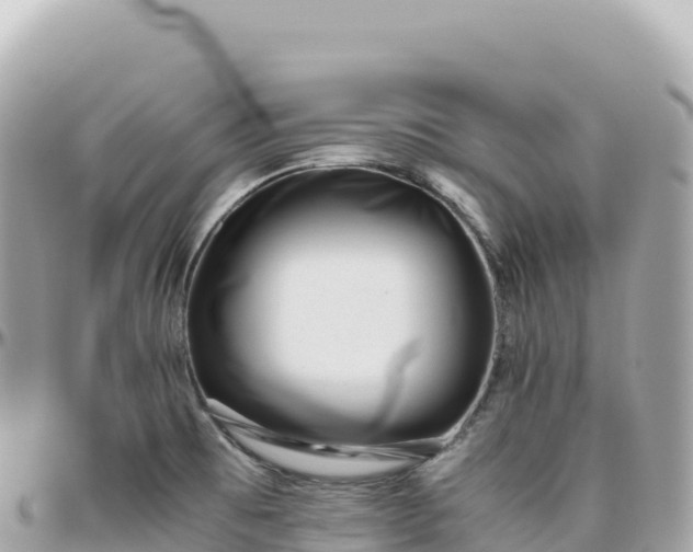 X0000095891473200801251152