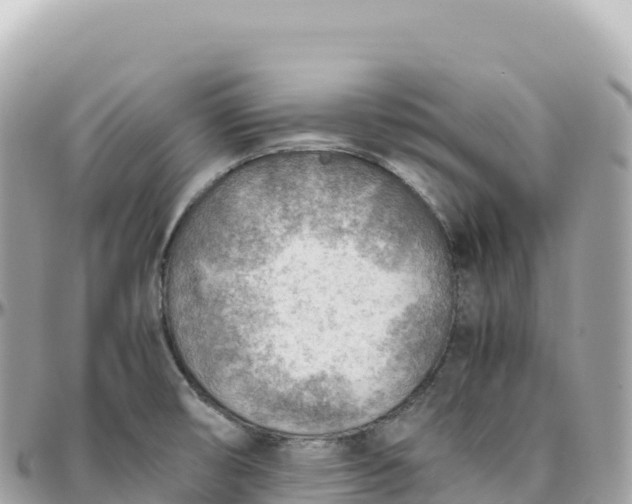 X0000095891474200801251152