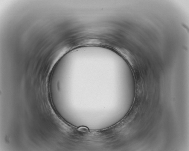 X0000095891475200801251151