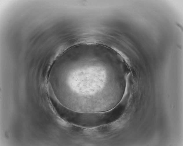 X0000095891477200801251151