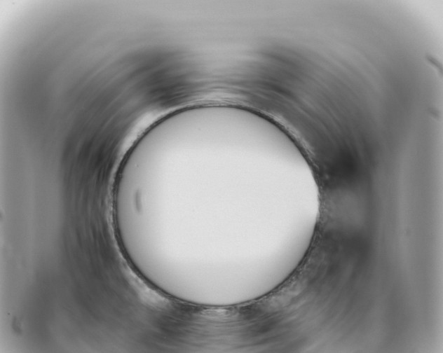 X0000095891478200801251151