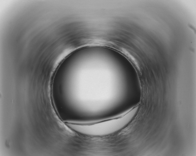X0000095891480200801251151