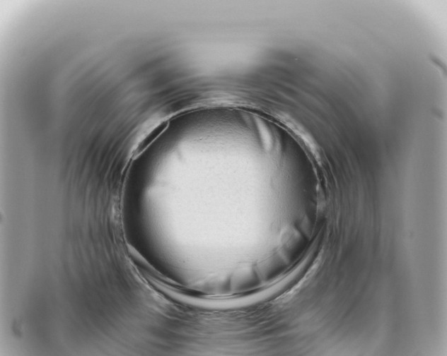 X0000095891481200801251151